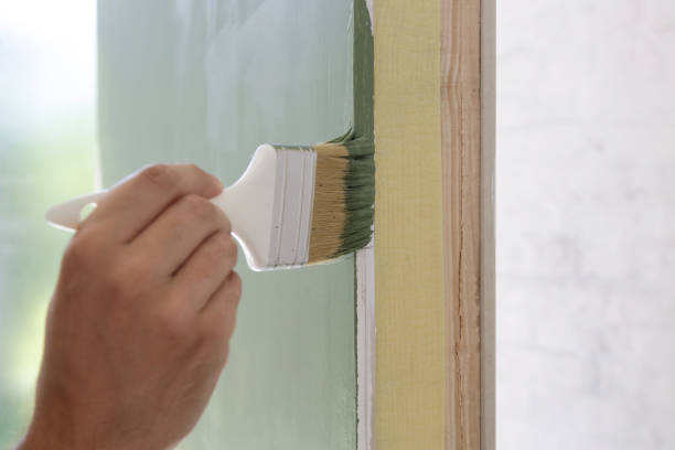 Best Mold Odor Removal Services  in Napili Honokowai, HI