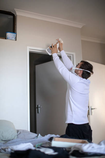 Best Dehumidification Services  in Napili Honokowai, HI