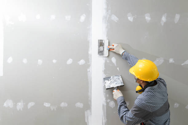 Best Basement Mold Removal  in Napili Honokowai, HI