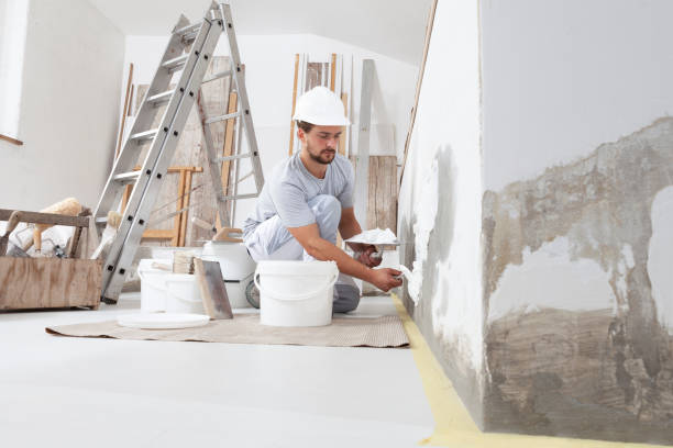 Environmental Consulting for Mold Prevention in Napili Honokowai, HI