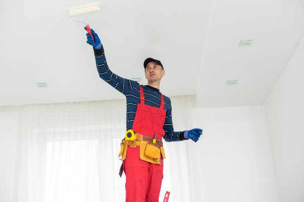 Best Asbestos and Lead Testing During Mold Inspection  in Napili Honokowai, HI