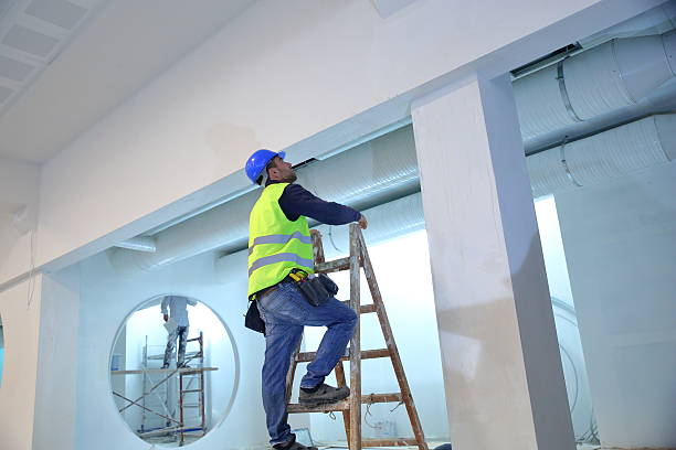Best Environmental Consulting for Mold Prevention  in Napili Honokowai, HI