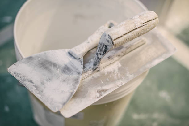 Best Air Quality Testing for Mold Spores  in Napili Honokowai, HI